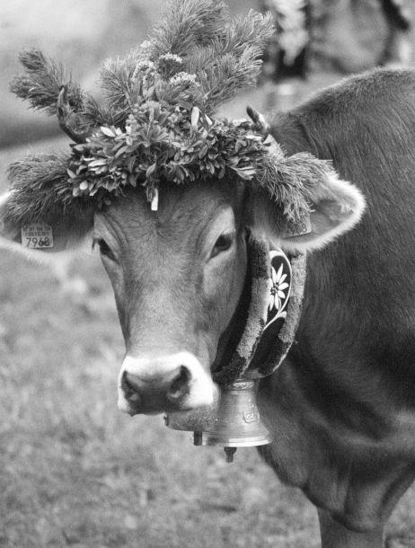 Michaela Dernier - Landesfotodokumentation 2003