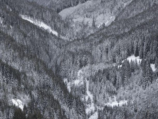 Wilfried Noisternig - Landesfotodokumentation 2008