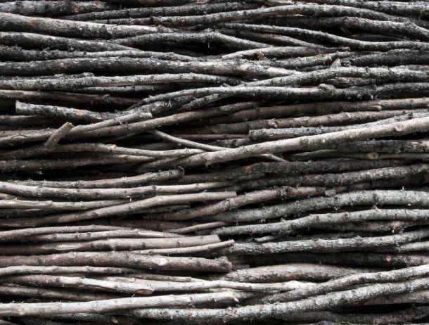 Wilfried Noisternig - Landesfotodokumentation 2008