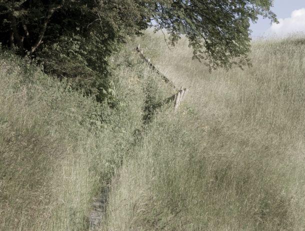 Wilfried Noisternig - Landesfotodokumentation 2008