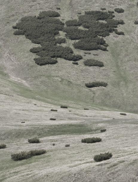 Wilfried Noisternig - Landesfotodokumentation 2008