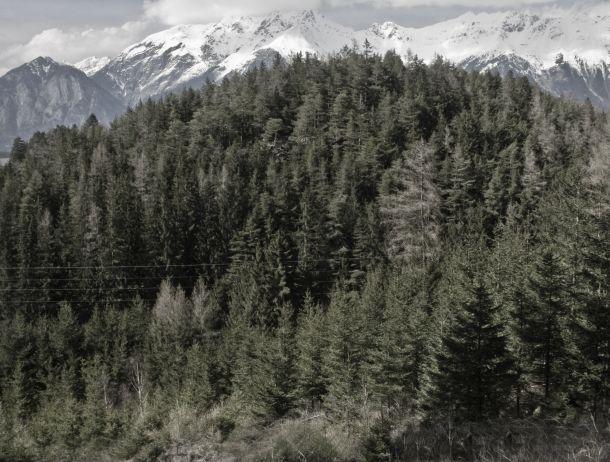 Gerhard Payr - Landesfotodokumentation 2008