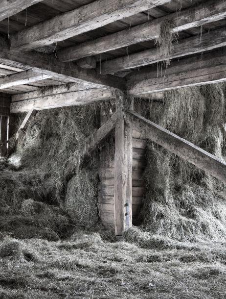 Klaus Defner - Landesfotodokumentation 2010