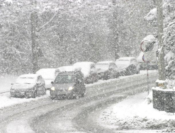 Fridolin Purtscheller - Landesfotodokumentation 2008