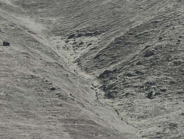 Fridolin Purtscheller - Landesfotodokumentation 2008