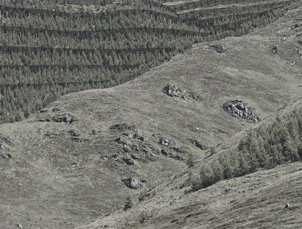 Fridolin Purtscheller - Landesfotodokumentation 2008