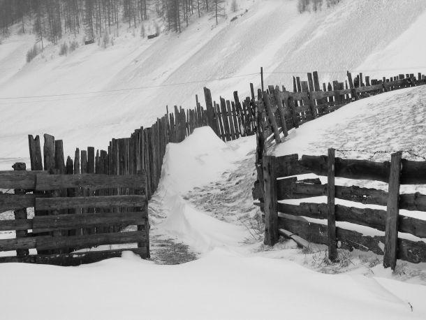 Ursula Fuchs-Hofer - Landesfotodokumentation 2003