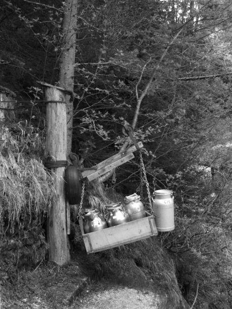 Georg Erlacher - Landesfotodokumentation 2003