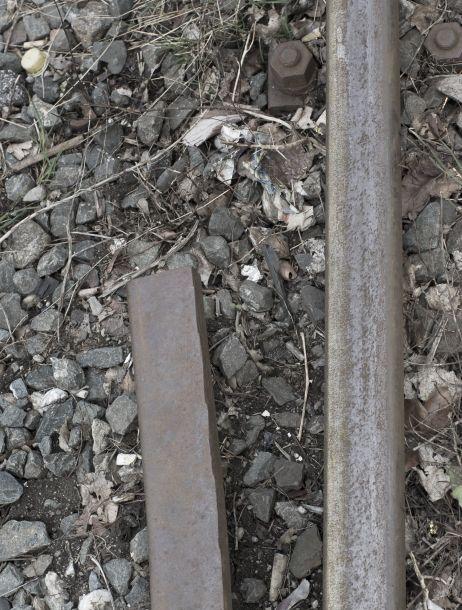 Peter Sandrini - Landesfotodokumentation 2008