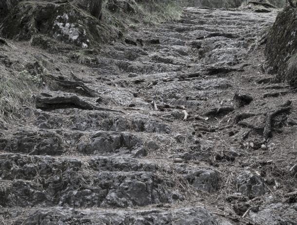 Peter Sandrini - Landesfotodokumentation 2008