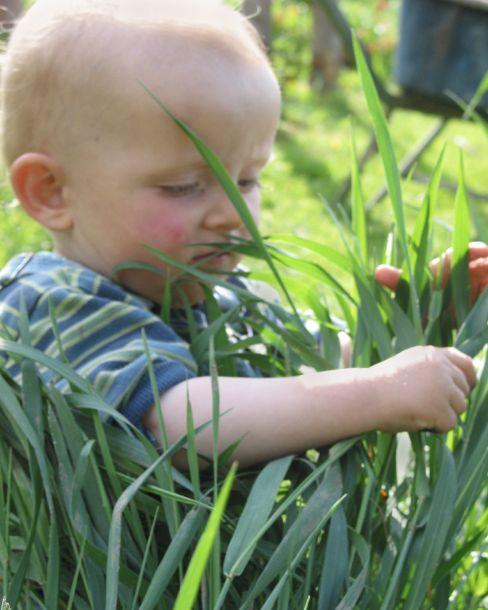 Maria Schott - Landesfotodokumentation 2002