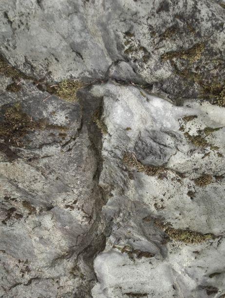 Maria Schott - Landesfotodokumentation 2008