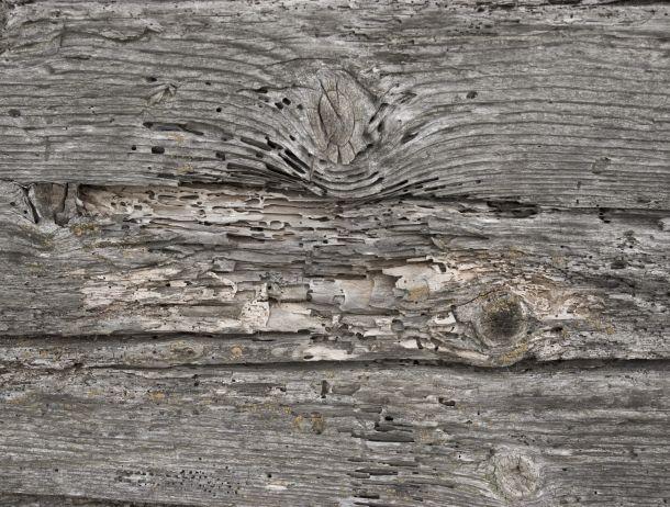 Maria Schott - Landesfotodokumentation 2008