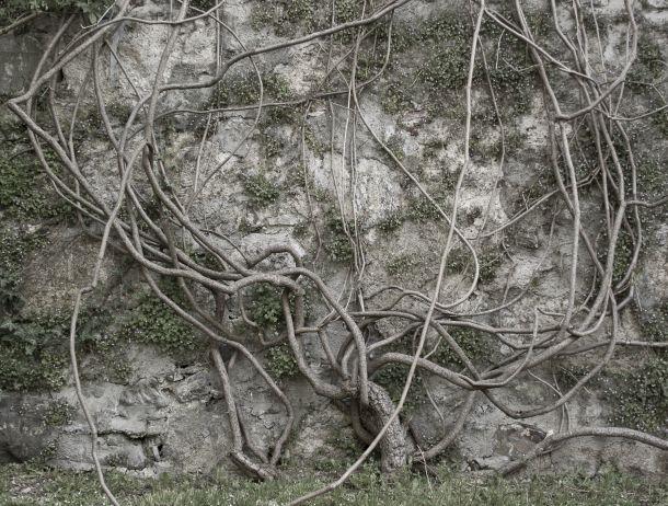 Maria Schott - Landesfotodokumentation 2008