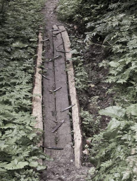 Maria Schott - Landesfotodokumentation 2008