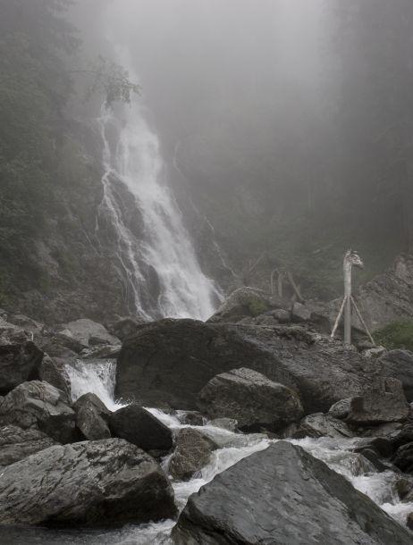 Maria Schott - Landesfotodokumentation 2008