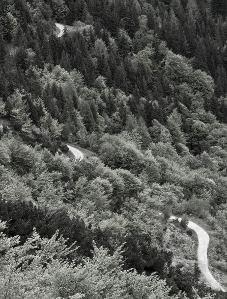 Roman Strieder - Landesfotodokumentation 2008