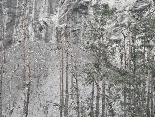 Roman Strieder - Landesfotodokumentation 2008