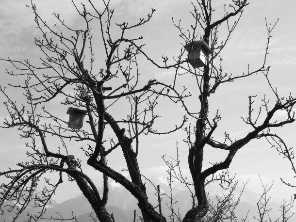 Heinz Jörgen Hafele - Landesfotodokumentation 2002