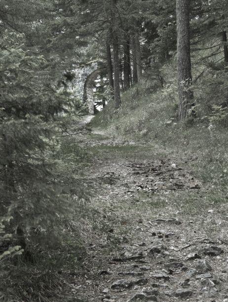 Michael Tobisch - Landesfotodokumentation 2008