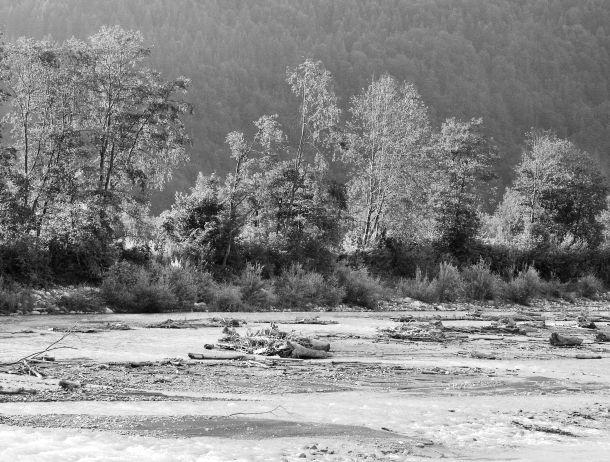 Anton Kiefer - Landesfotodokumentation 2002