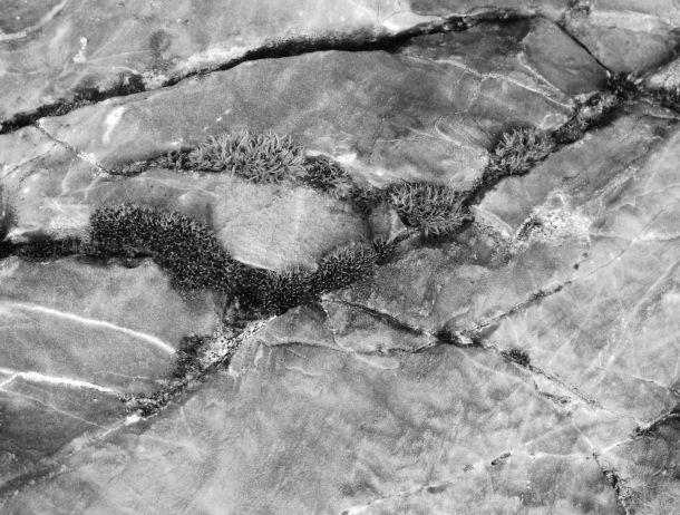 Ulrike Jussel - Landesfotodokumentation 2002