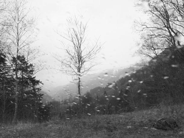 Heinz Jörgen Hafele - Landesfotodokumentation 2002