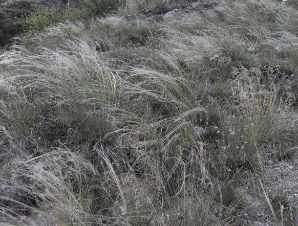 Andreas Waldner - Landesfotodokumentation 2008