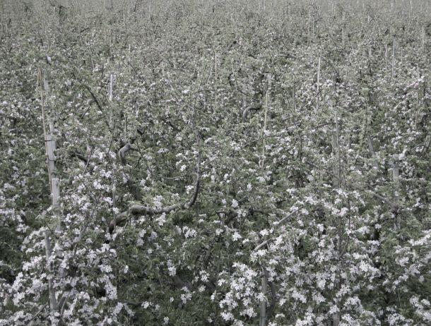 Andreas Waldner - Landesfotodokumentation 2008