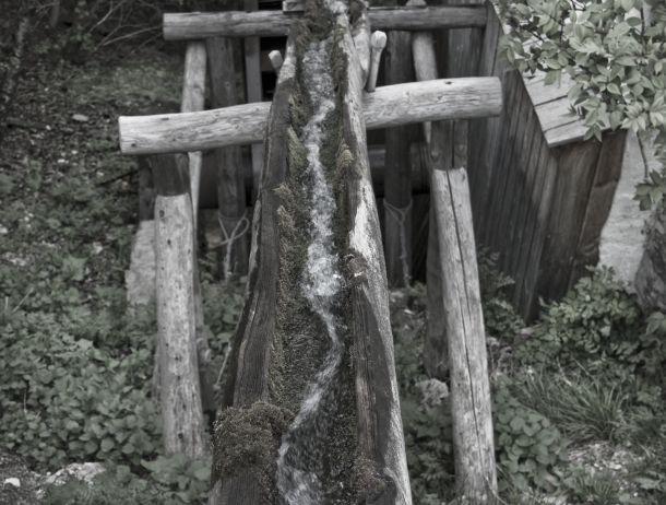 Andreas Waldner - Landesfotodokumentation 2008