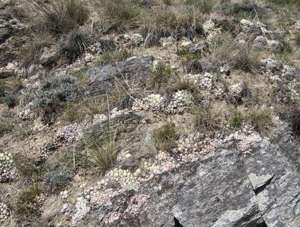 Andreas Waldner - Landesfotodokumentation 2008