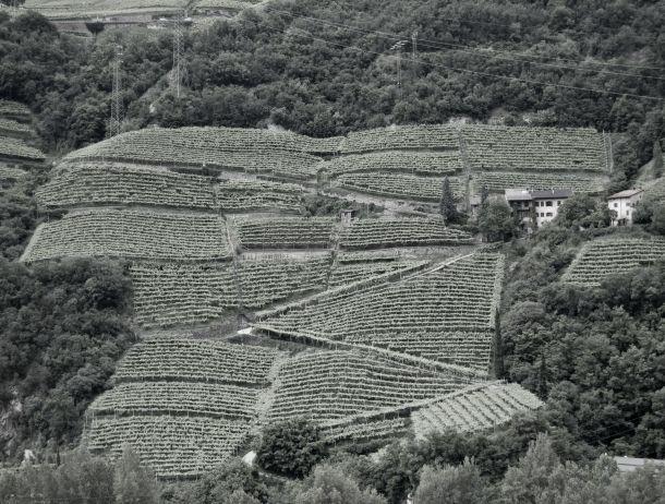Andreas Waldner - Landesfotodokumentation 2008