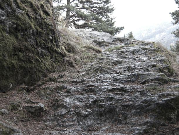 Andreas Waldner - Landesfotodokumentation 2010