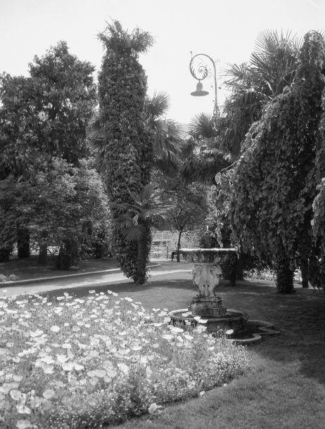 Fritz Pichler - Landesfotodokumentation 2002