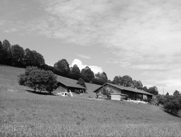 Werner Neururer - Landesfotodokumentation 2002