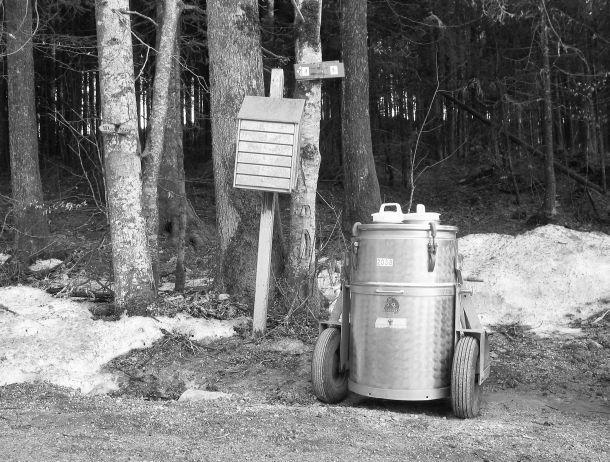 Werner Neururer - Landesfotodokumentation 2002