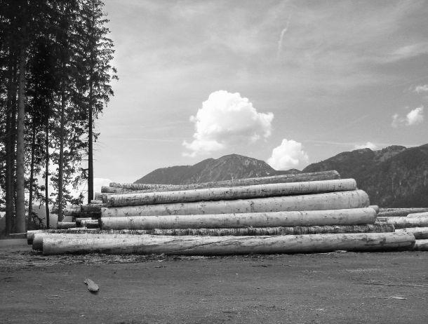 Werner Neururer - Landesfotodokumentation 2002