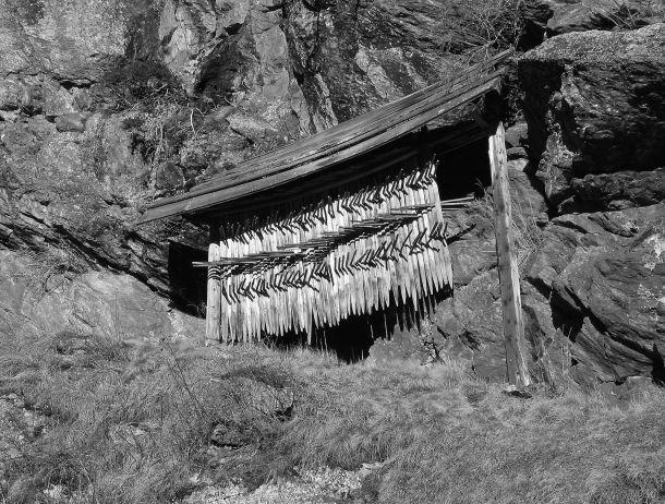 Werner Neururer - Landesfotodokumentation 2002