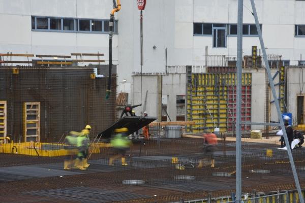 Anna Rieser - Arbeit