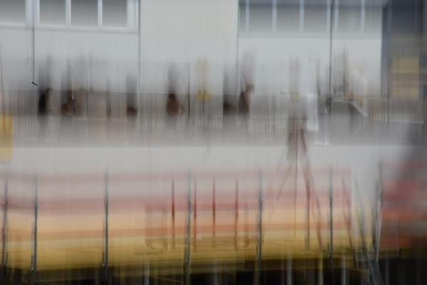 Anna Rieser - Arbeit