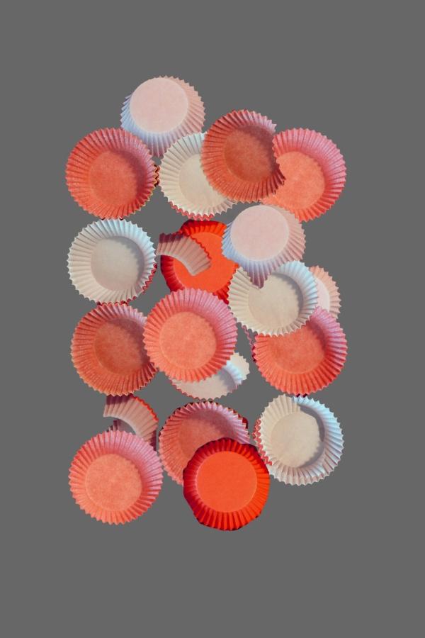 Dagmar Reinstadler-Hanak - Arbeit