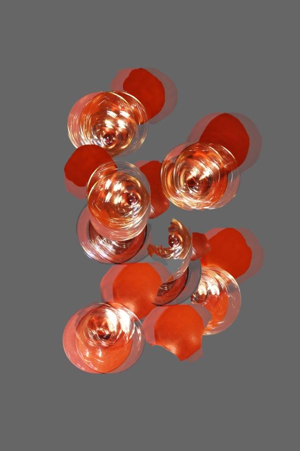 Dagmar Reinstadler-Hanak - Arbeit