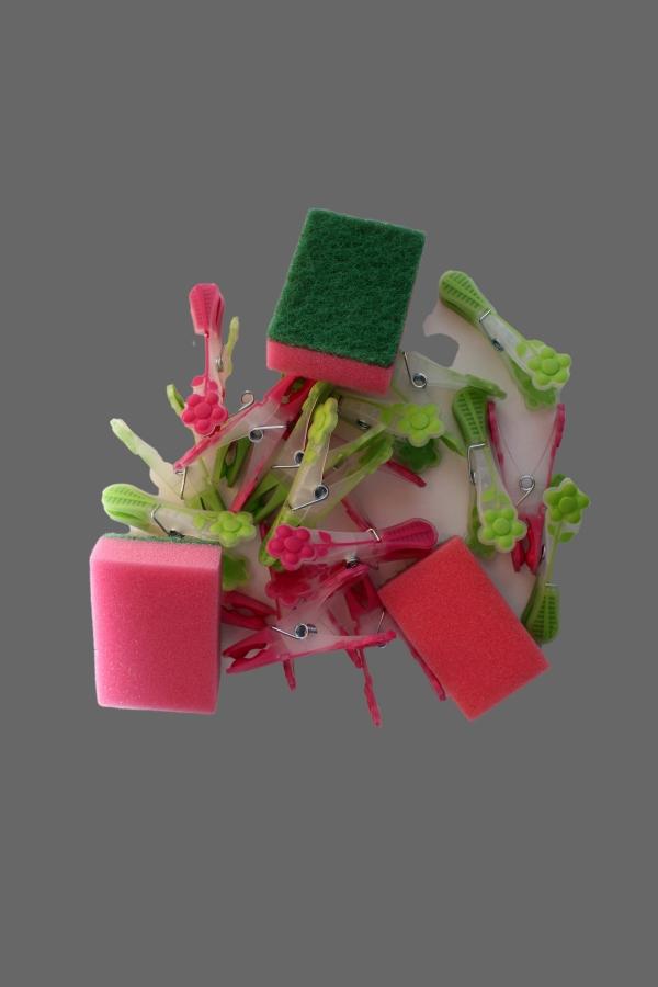 Dagmar Reinstadler-Hanak - Arbeit