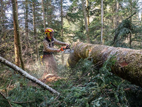 Markus Jenewein - Arbeit