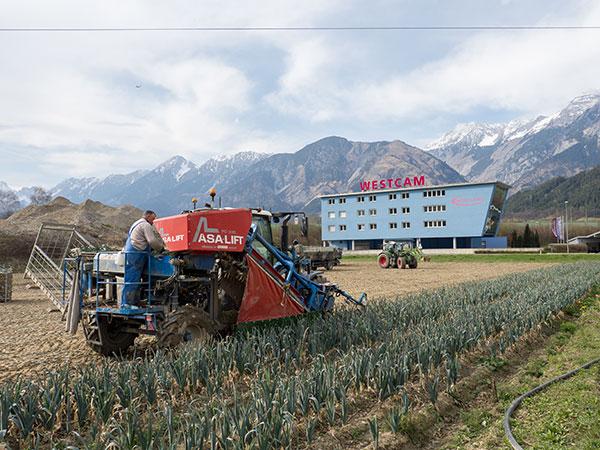 Markus Jenewein - Arbeit