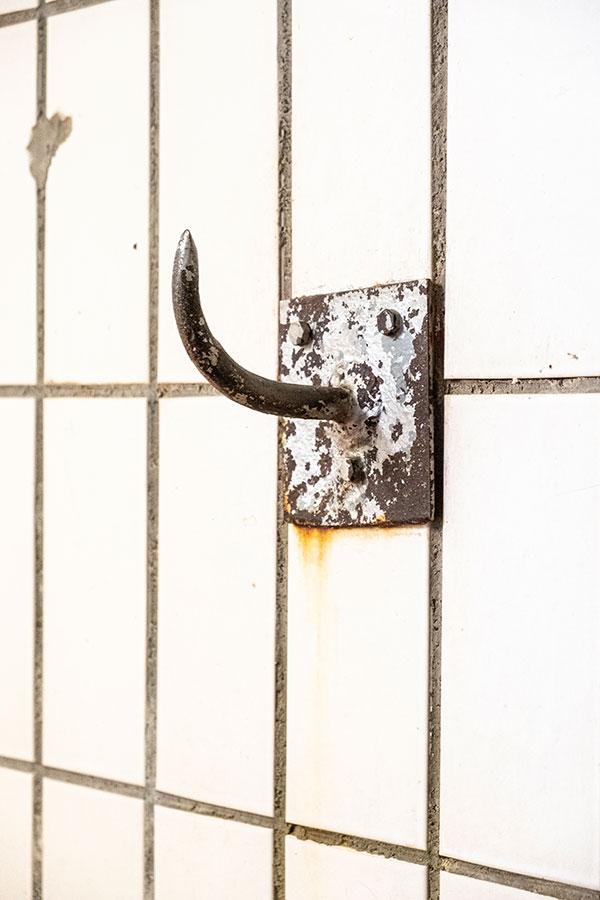 Martina Zingg-Schir - Arbeit