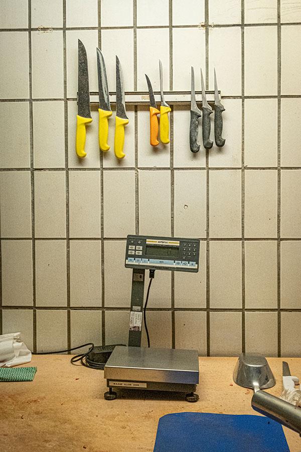 Martina Zingg-Schir - Arbeit