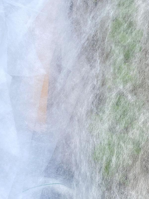 Sandra Cuel - Arbeit