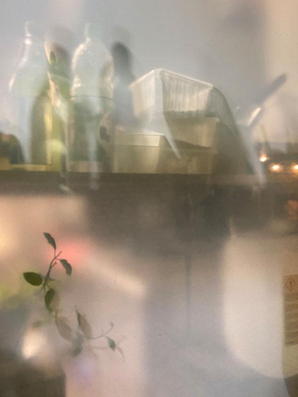 Sandra Cuel - Arbeit