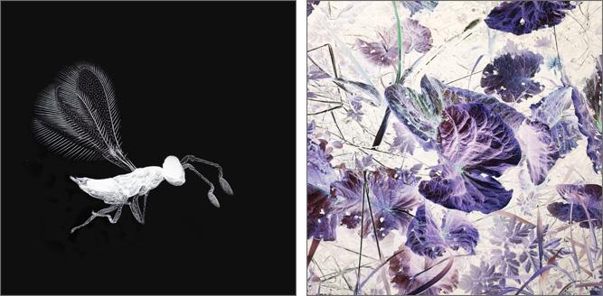 Ausstellungsbesuch "Everything begins to float"